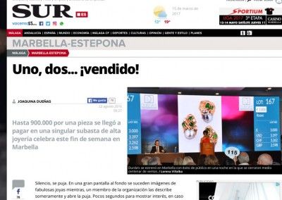 Diario SUR